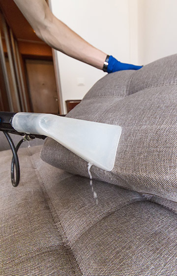 Nettoyez tapis canapés et tissus facilement avec la Shampouineuse Nett – By  Cleva